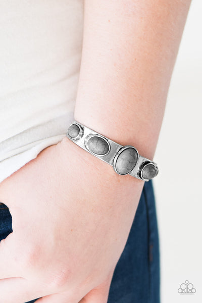 Paparazzi Accessories Laws Of Nature - Silver Bracelet 