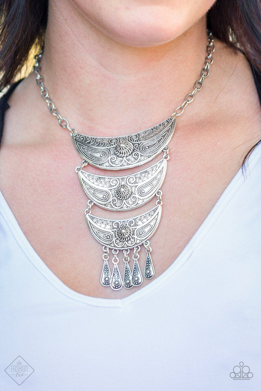 Paparazzi Accessories Go STEER-Crazy Silver Necklace & Earrings 