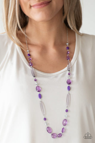 Paparazzi Accessories Quite Quintessence - Purple  Necklace & Earrings 