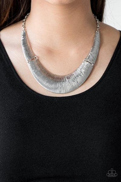 Paparazzi Accessories Feast or Famine - Silver Necklace & Earrings 